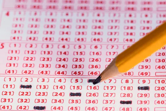 Data analysis charts